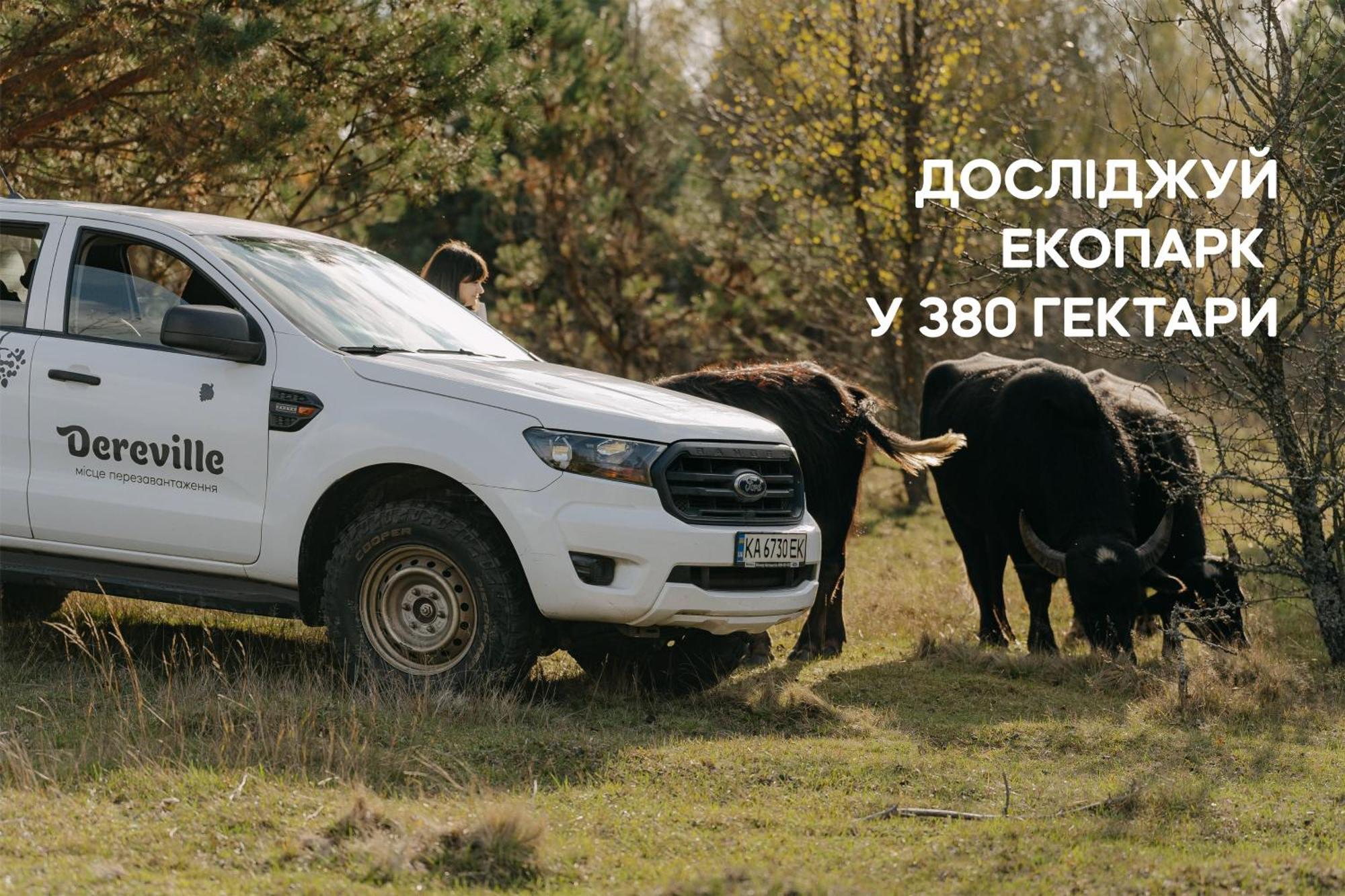 Dereville Sokolovka Oda fotoğraf